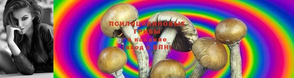 спайс Алексеевка