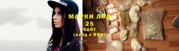 стаф Алексин