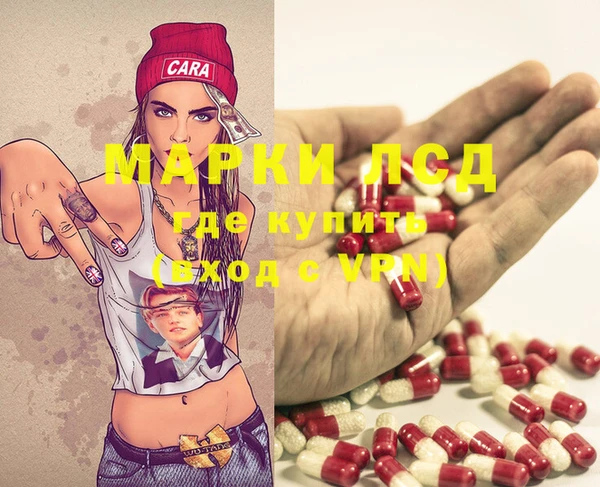 apvp Алзамай
