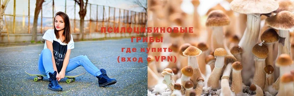 стаф Алексин