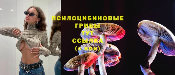 спайс Алексеевка