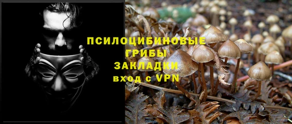 apvp Алзамай