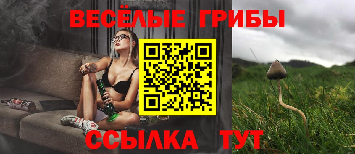 Псилоцибиновые грибы ЛСД Менделеевск
