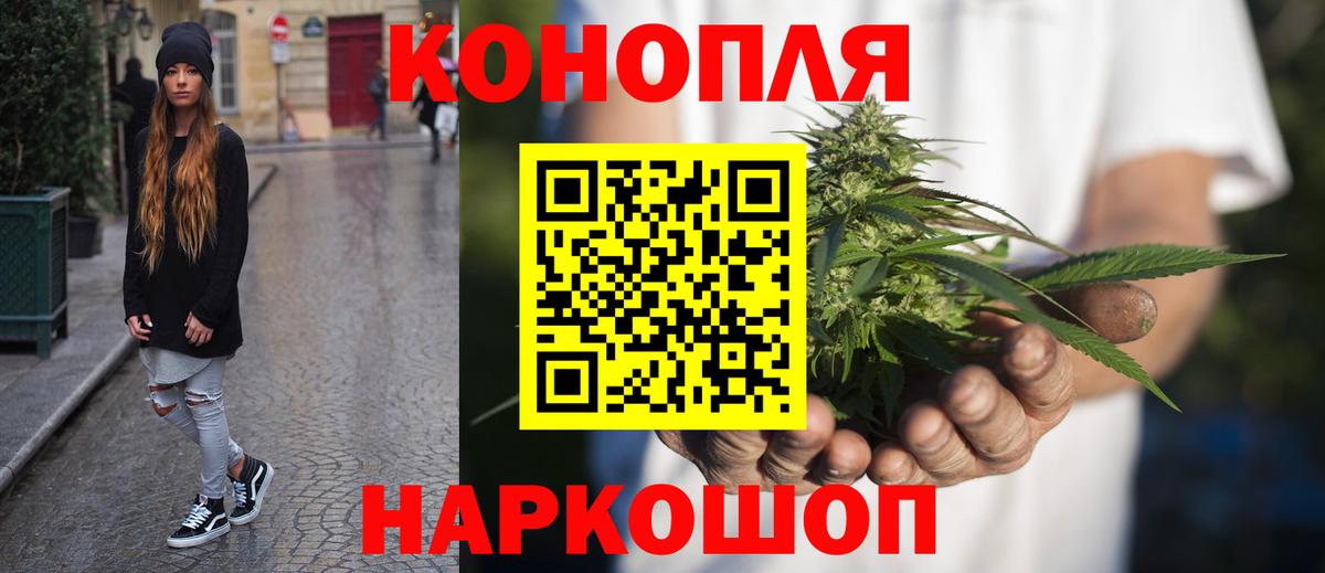 Конопля гибрид Менделеевск